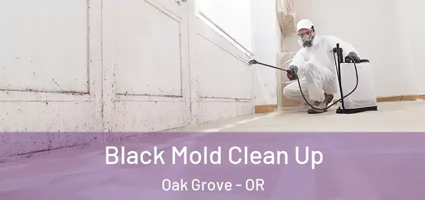  Black Mold Clean Up Oak Grove - OR