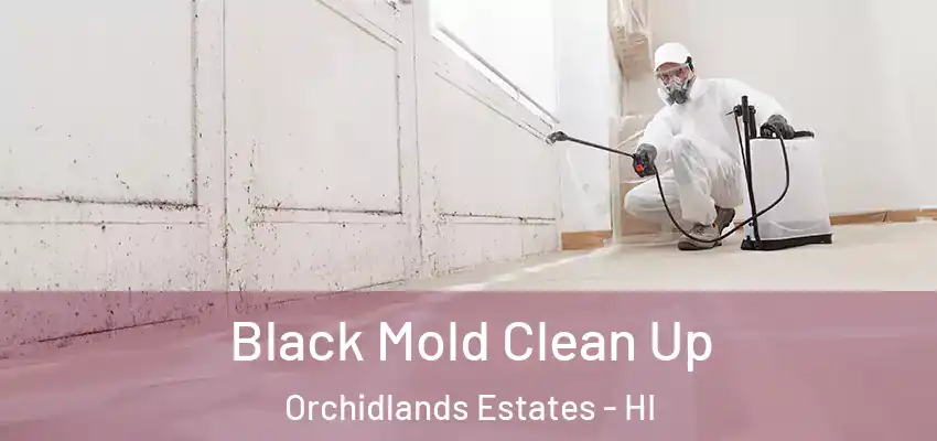  Black Mold Clean Up Orchidlands Estates - HI