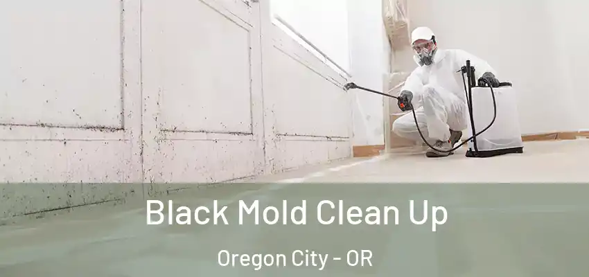 Black Mold Clean Up Oregon City - OR