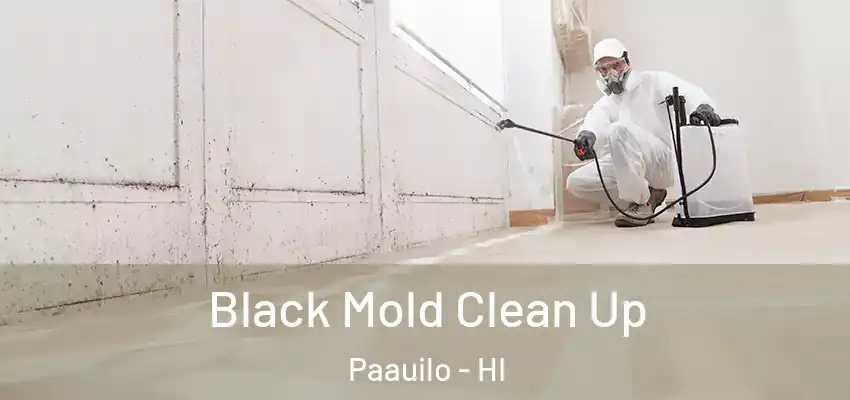  Black Mold Clean Up Paauilo - HI
