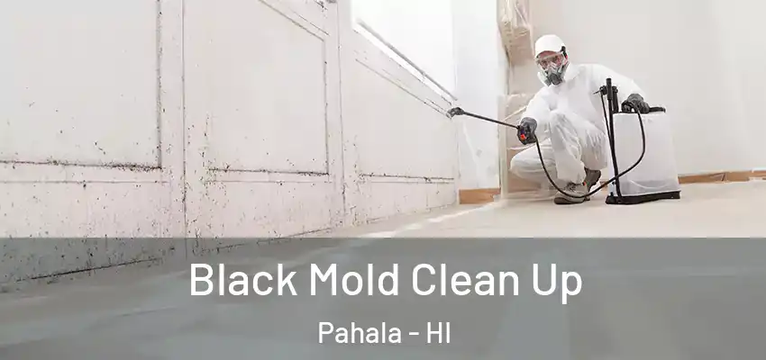  Black Mold Clean Up Pahala - HI