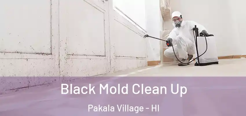  Black Mold Clean Up Pakala Village - HI