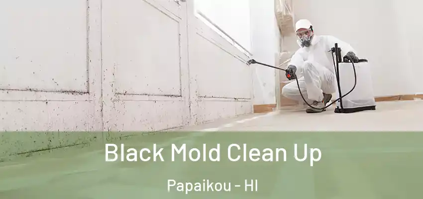  Black Mold Clean Up Papaikou - HI