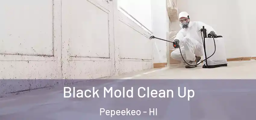  Black Mold Clean Up Pepeekeo - HI