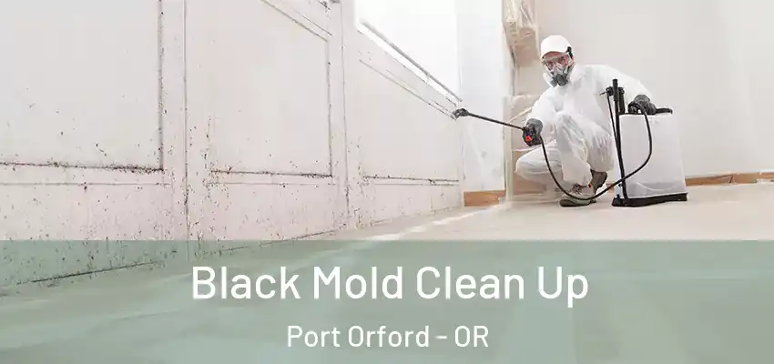  Black Mold Clean Up Port Orford - OR