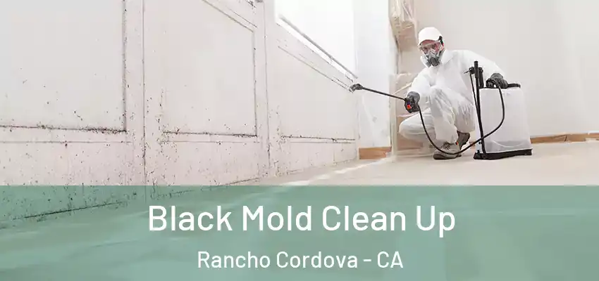 Black Mold Clean Up Rancho Cordova - CA