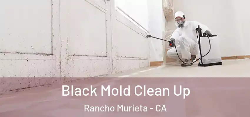  Black Mold Clean Up Rancho Murieta - CA