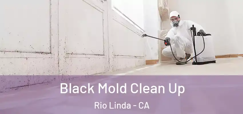 Black Mold Clean Up Rio Linda - CA