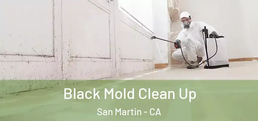  Black Mold Clean Up San Martin - CA