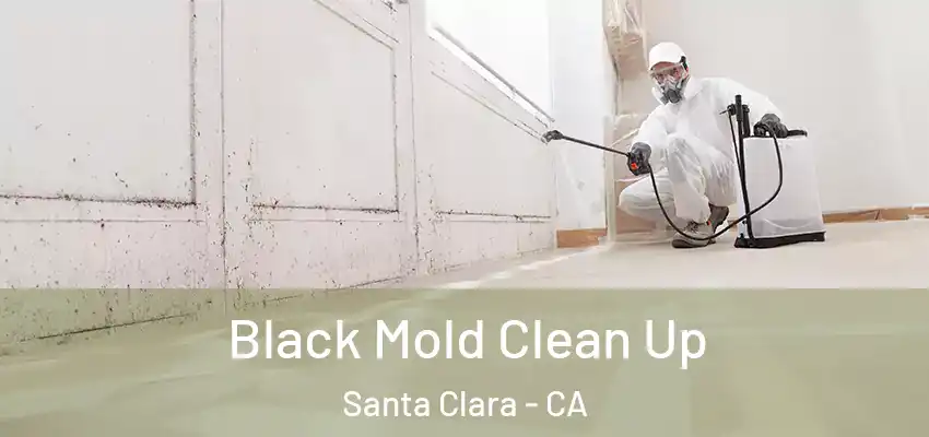 Black Mold Clean Up Santa Clara - CA