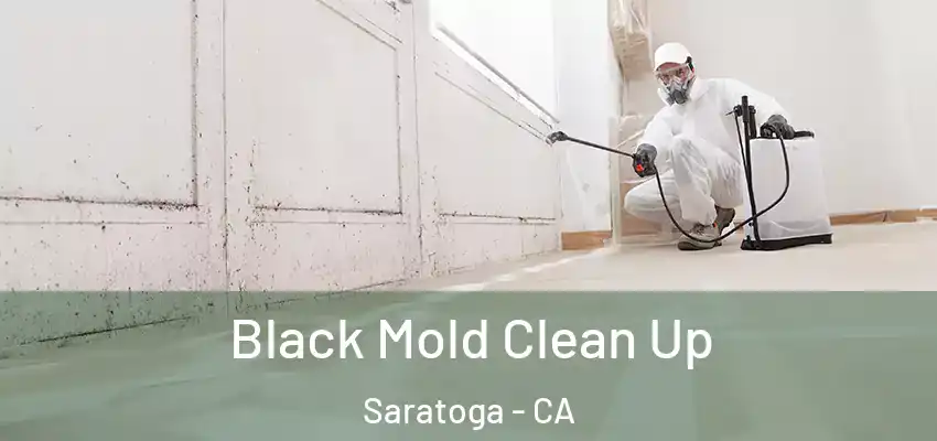 Black Mold Clean Up Saratoga - CA