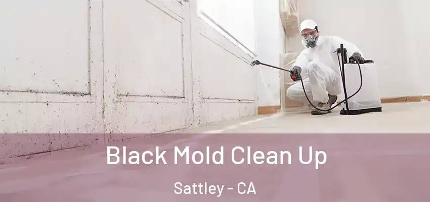  Black Mold Clean Up Sattley - CA