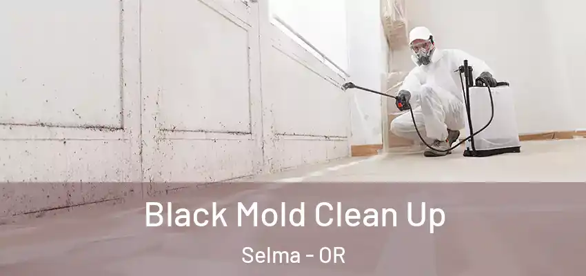  Black Mold Clean Up Selma - OR