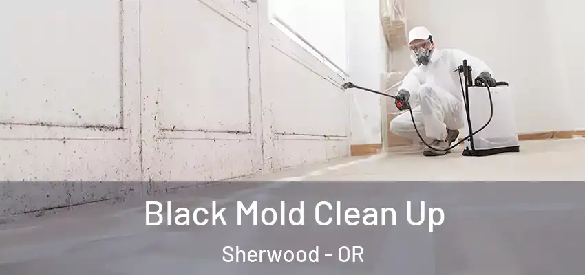 Black Mold Clean Up Sherwood - OR