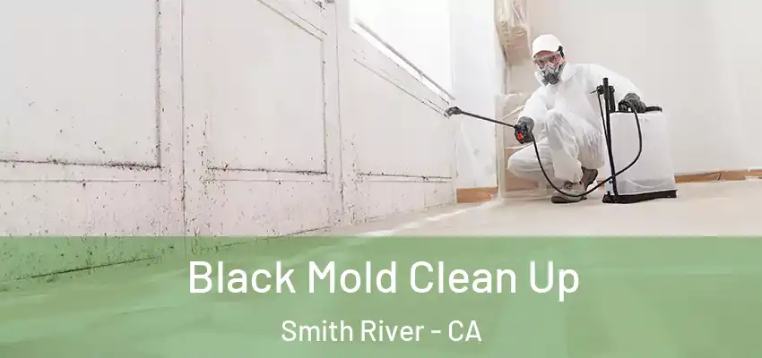  Black Mold Clean Up Smith River - CA