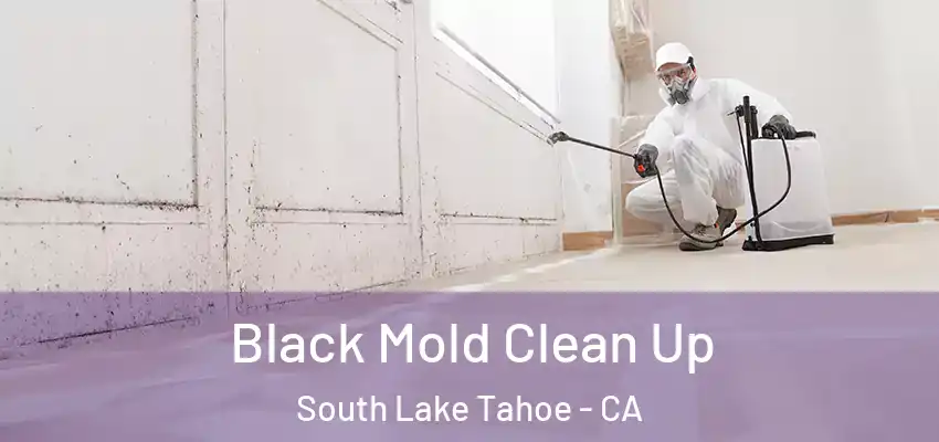  Black Mold Clean Up South Lake Tahoe - CA