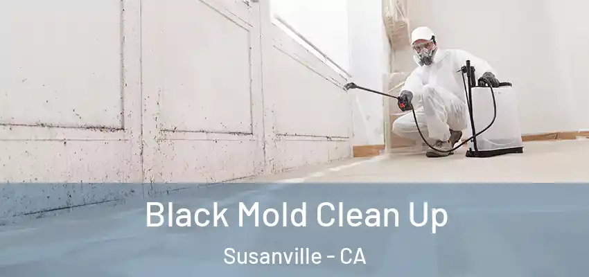  Black Mold Clean Up Susanville - CA