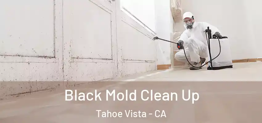  Black Mold Clean Up Tahoe Vista - CA