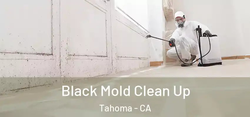 Black Mold Clean Up Tahoma - CA