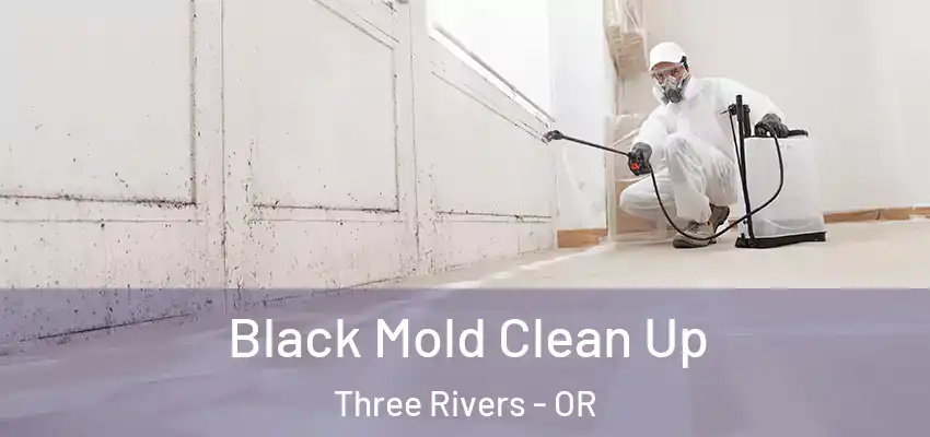  Black Mold Clean Up Three Rivers - OR