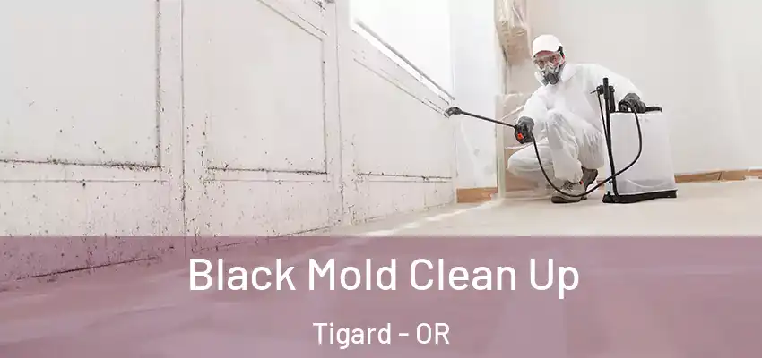  Black Mold Clean Up Tigard - OR