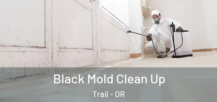  Black Mold Clean Up Trail - OR