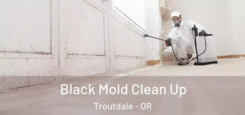  Black Mold Clean Up Troutdale - OR