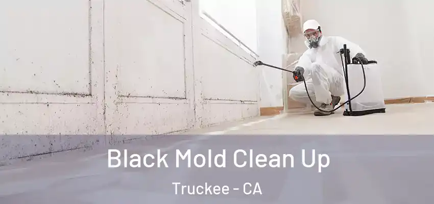  Black Mold Clean Up Truckee - CA