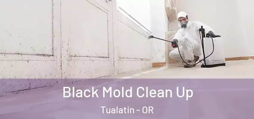  Black Mold Clean Up Tualatin - OR