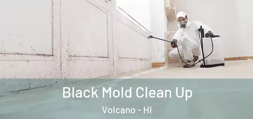  Black Mold Clean Up Volcano - HI