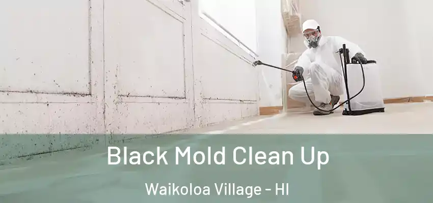  Black Mold Clean Up Waikoloa Village - HI