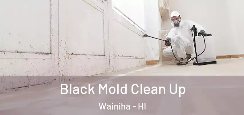  Black Mold Clean Up Wainiha - HI