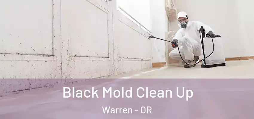 Black Mold Clean Up Warren - OR