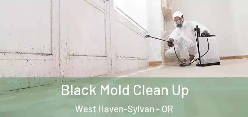  Black Mold Clean Up West Haven-Sylvan - OR