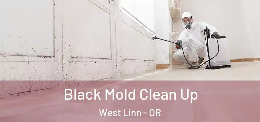  Black Mold Clean Up West Linn - OR