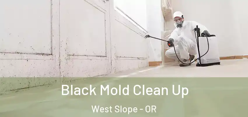 Black Mold Clean Up West Slope - OR