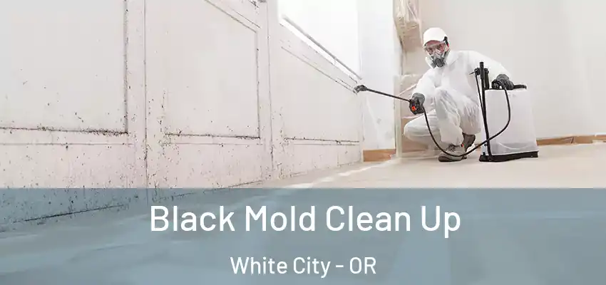  Black Mold Clean Up White City - OR