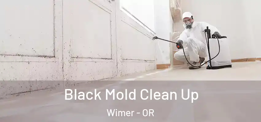  Black Mold Clean Up Wimer - OR
