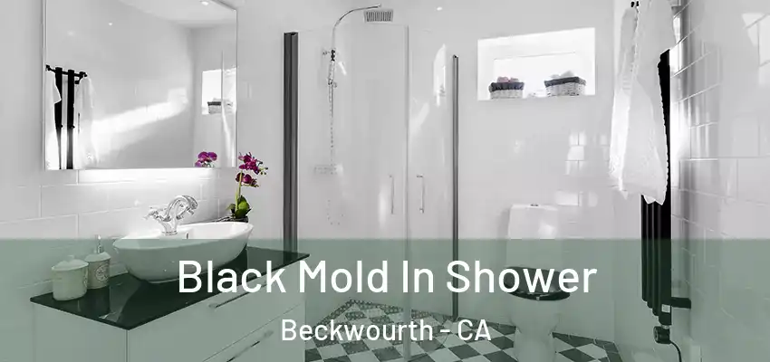  Black Mold In Shower Beckwourth - CA