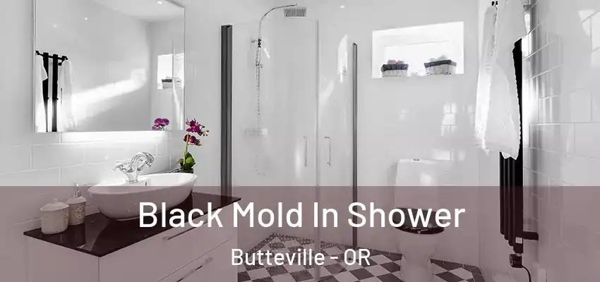  Black Mold In Shower Butteville - OR