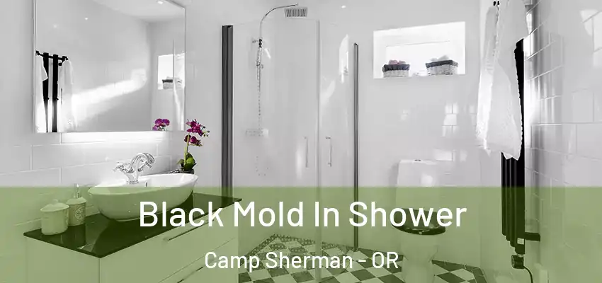  Black Mold In Shower Camp Sherman - OR