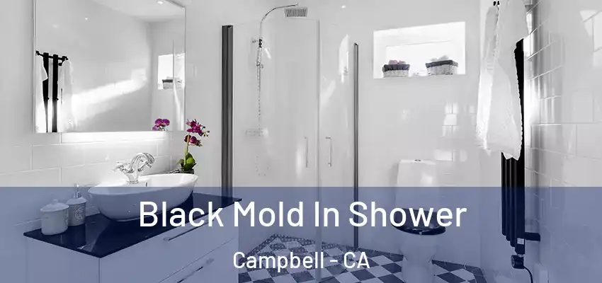  Black Mold In Shower Campbell - CA
