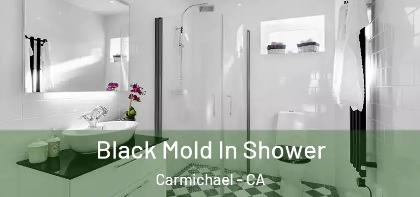  Black Mold In Shower Carmichael - CA