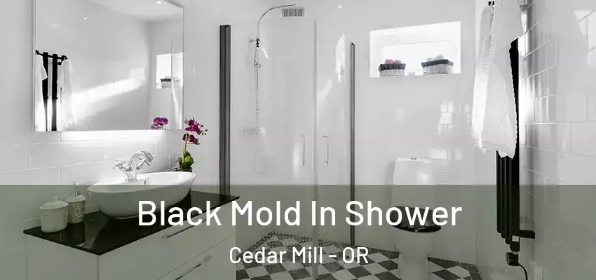 Black Mold In Shower Cedar Mill - OR