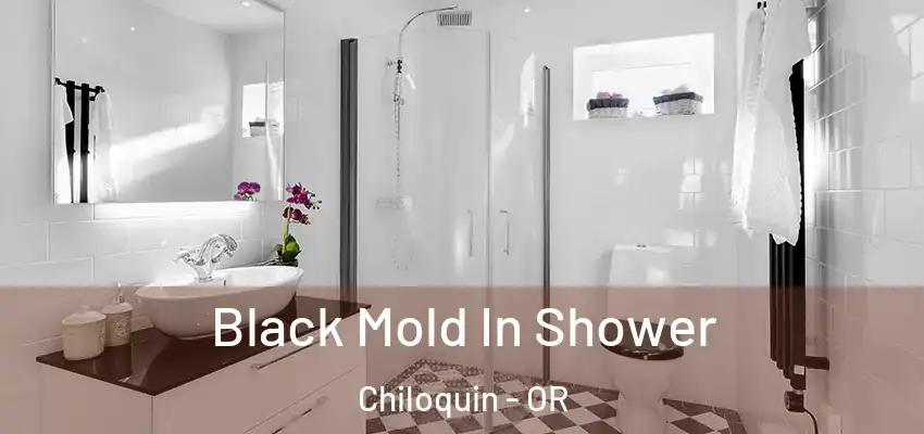  Black Mold In Shower Chiloquin - OR
