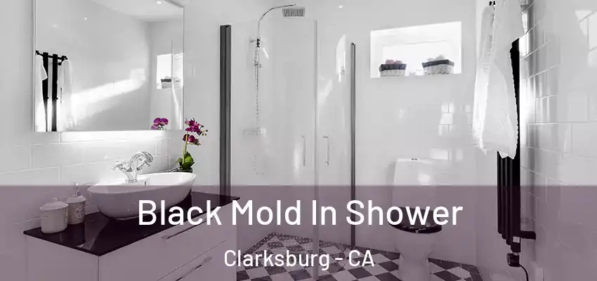  Black Mold In Shower Clarksburg - CA