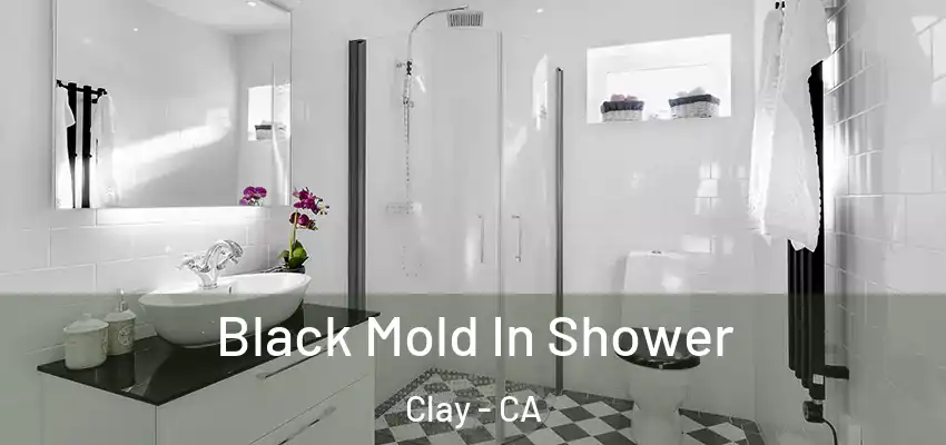  Black Mold In Shower Clay - CA