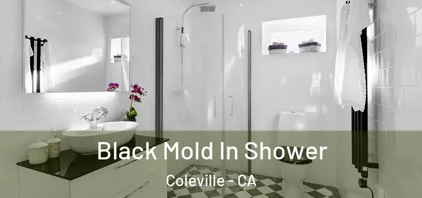  Black Mold In Shower Coleville - CA