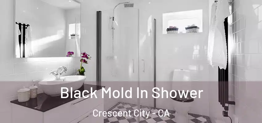  Black Mold In Shower Crescent City - CA