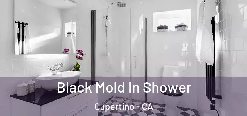  Black Mold In Shower Cupertino - CA